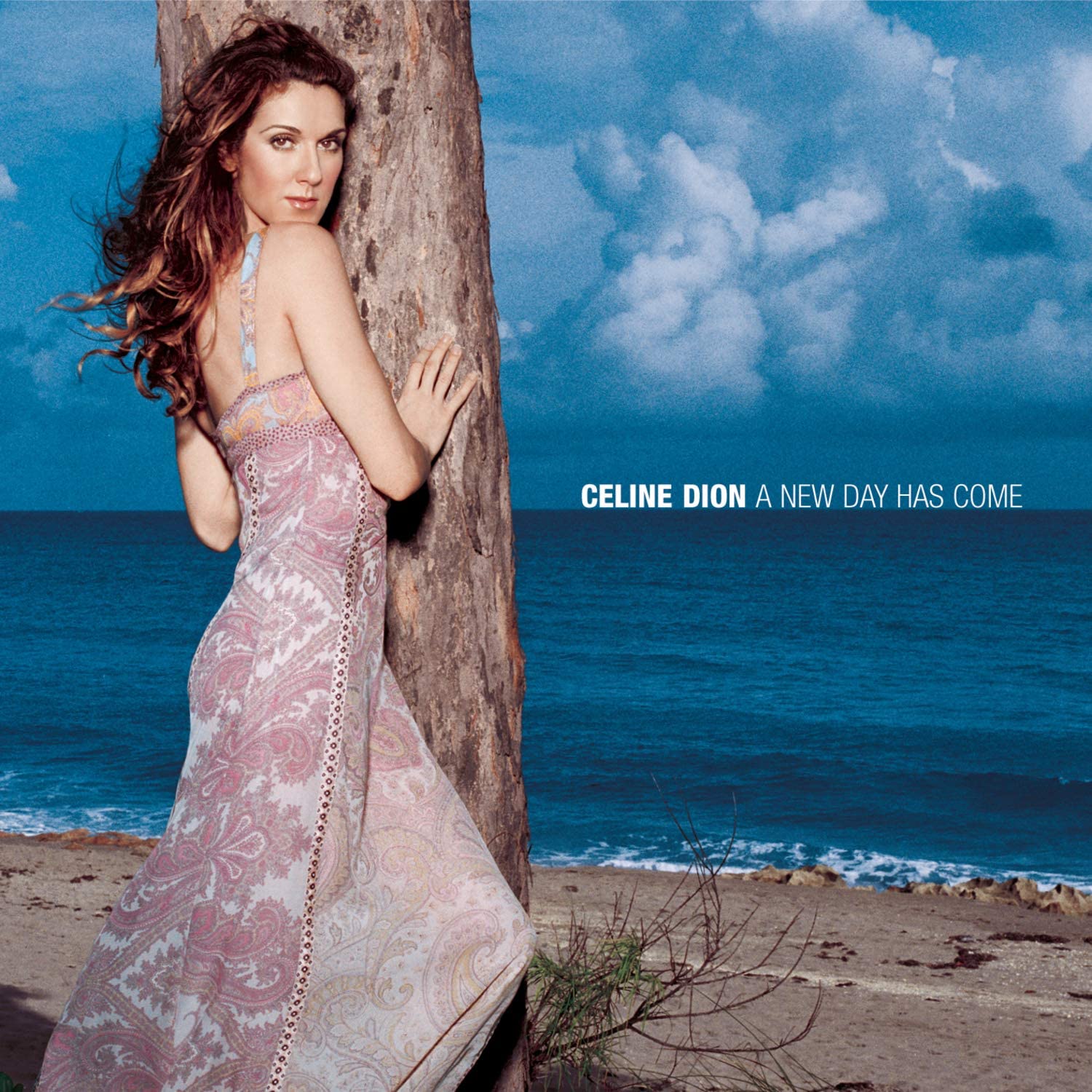 Céline Dion – A New Day Has Come