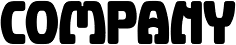 Company