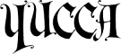 Yucca