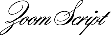 Zooom Script
